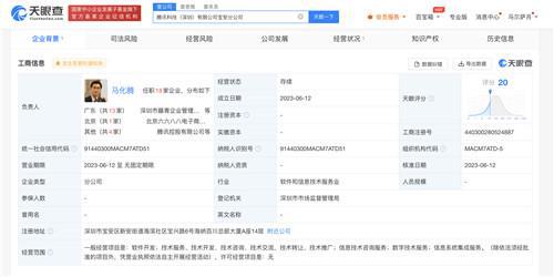 馬化騰任騰訊科技寶安分公司負責人，聚焦信息系統集成服務發展