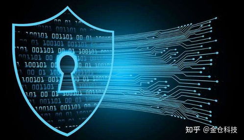 Web3.0、IPFS與Filecoin的協同演進 信息系統集成服務的視角